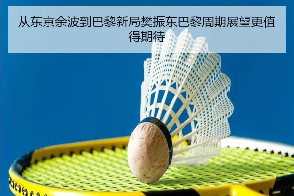 从东京余波到巴黎新局樊振东巴黎周期展望更值得期待